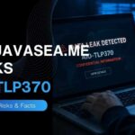 TheJavaSea.me Leaks AIO-TLP370 Explained